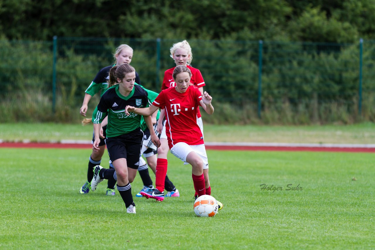 Bild 252 - C-Juniorinnen Landesmeister Finale SV Wahlstedt - TuRa Meldorf : Ergebnis: 1:4